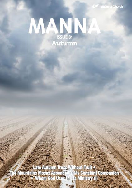 MANNA 81: AUTUMN