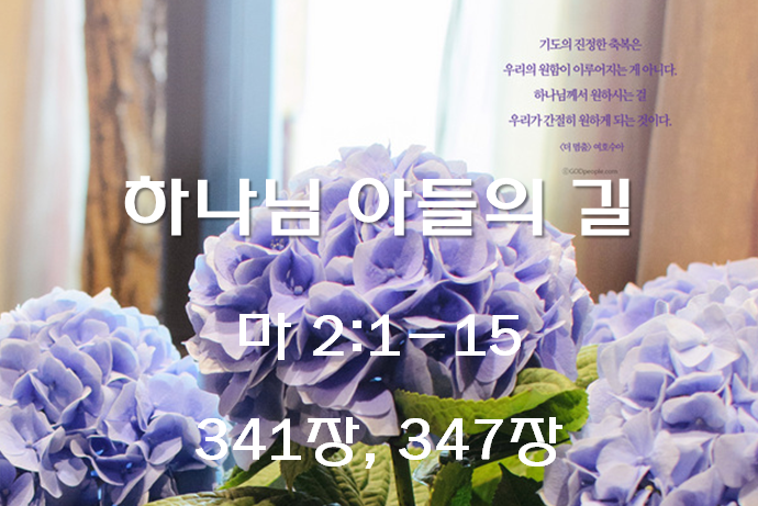 하나님 아들의 길 (마2:1-15)