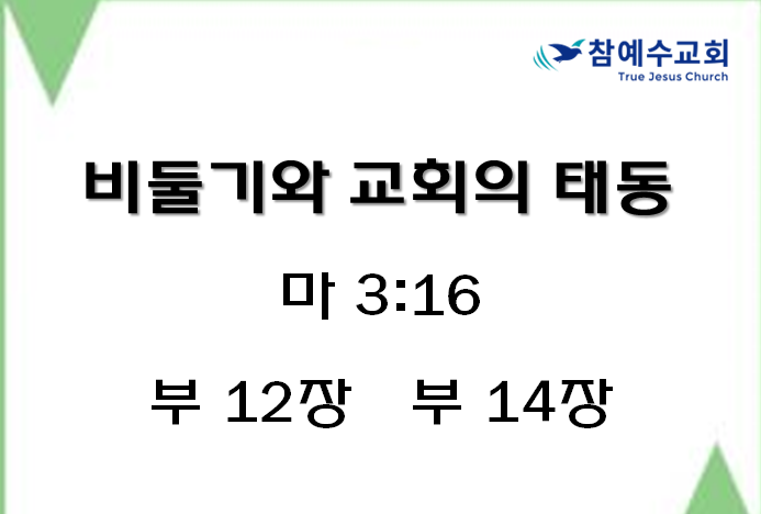 비둘기와 교회의 태동 (마 3:16)