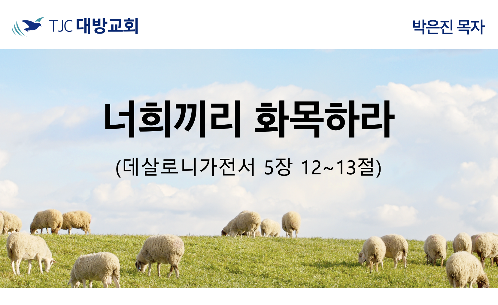 너희끼리 화목하라 (데살 5:12~13)