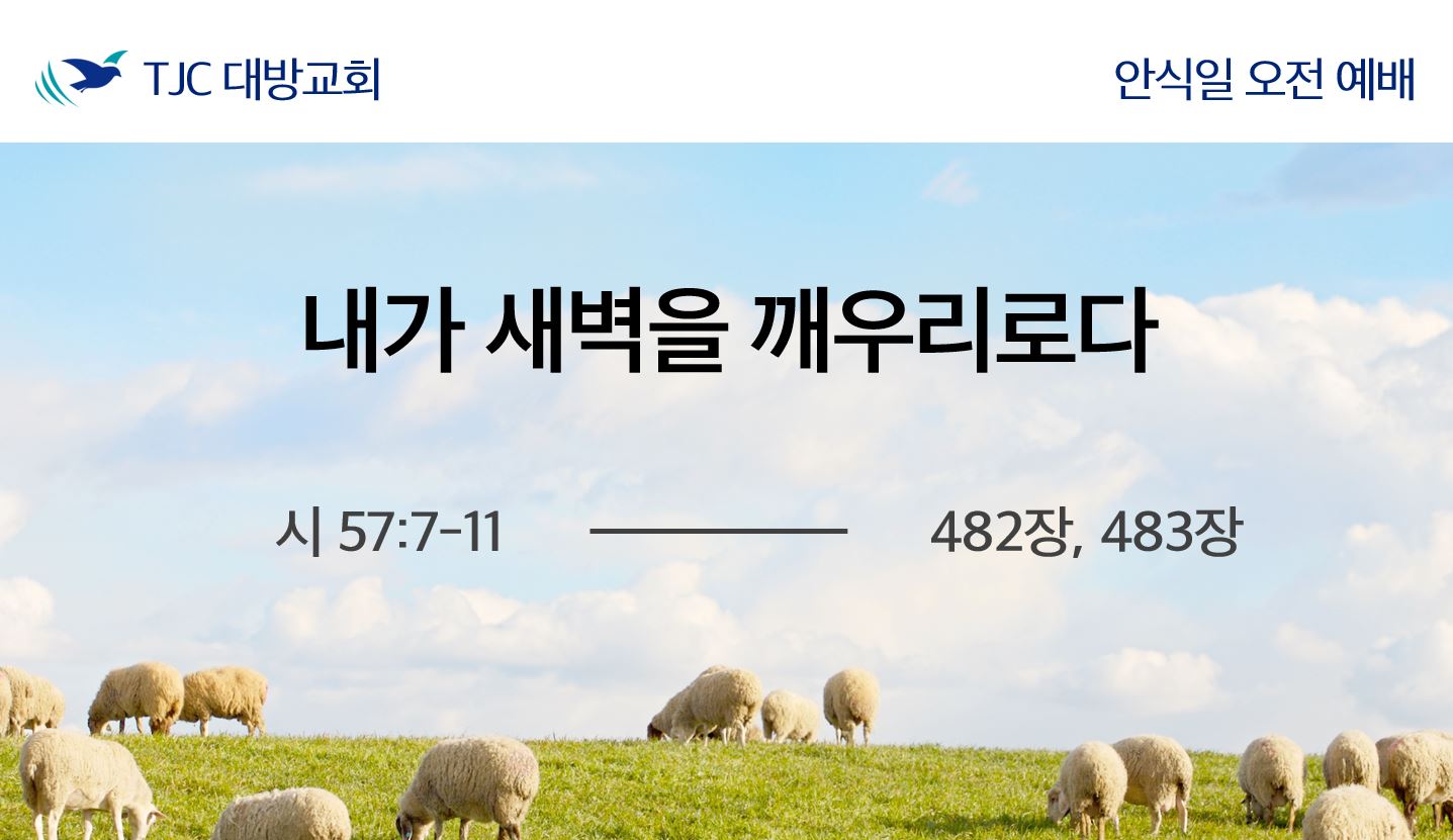 내가 새벽을 깨우리로다(시 57:1-11)