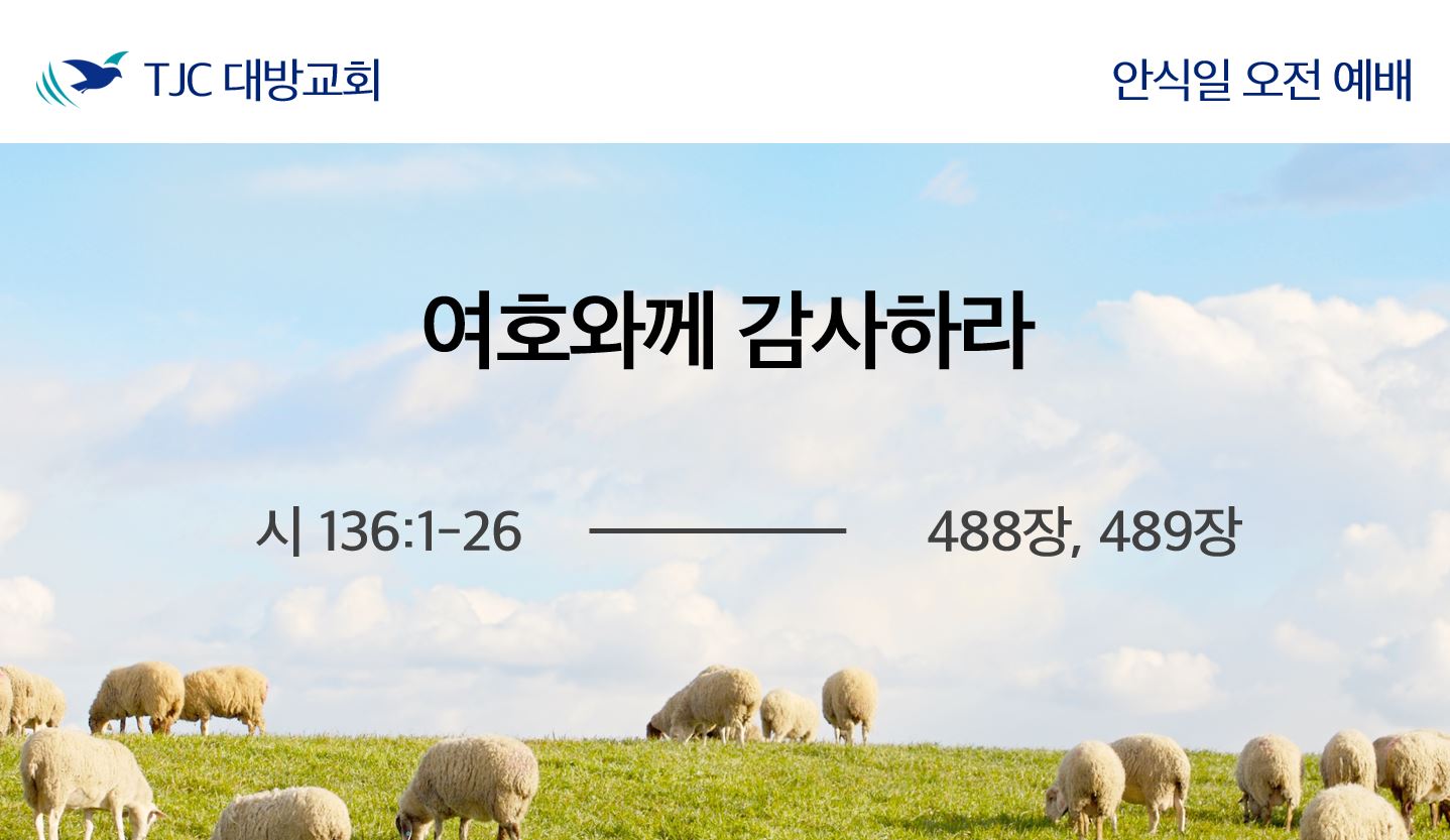 여호와께 감사하라 (시 136:1-26)