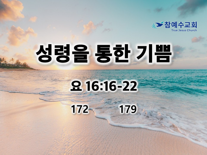 성령을 통한 기쁨(요 16:16-22)