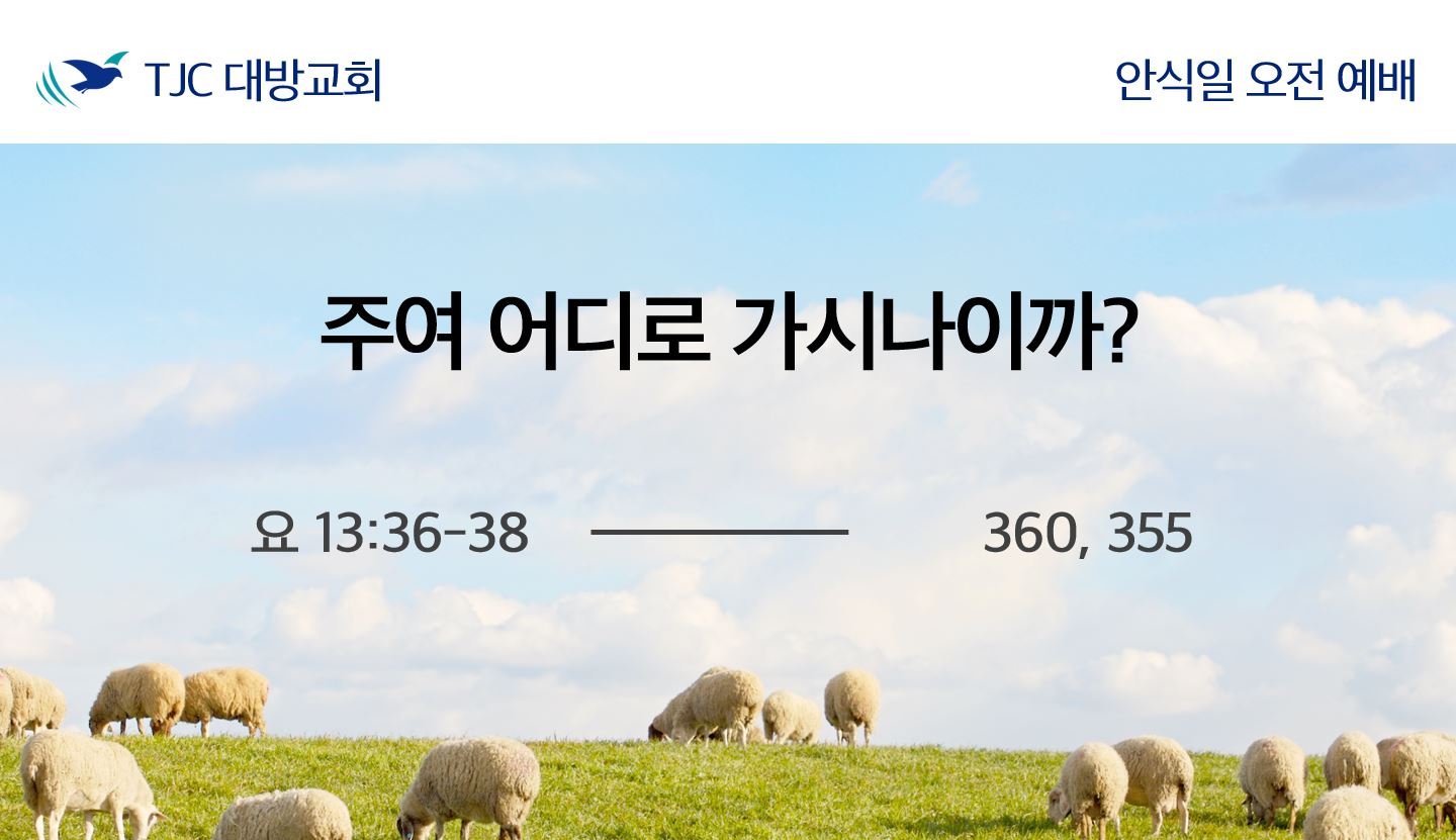 주여 어디로 가시나이까? (요 13:36-38)