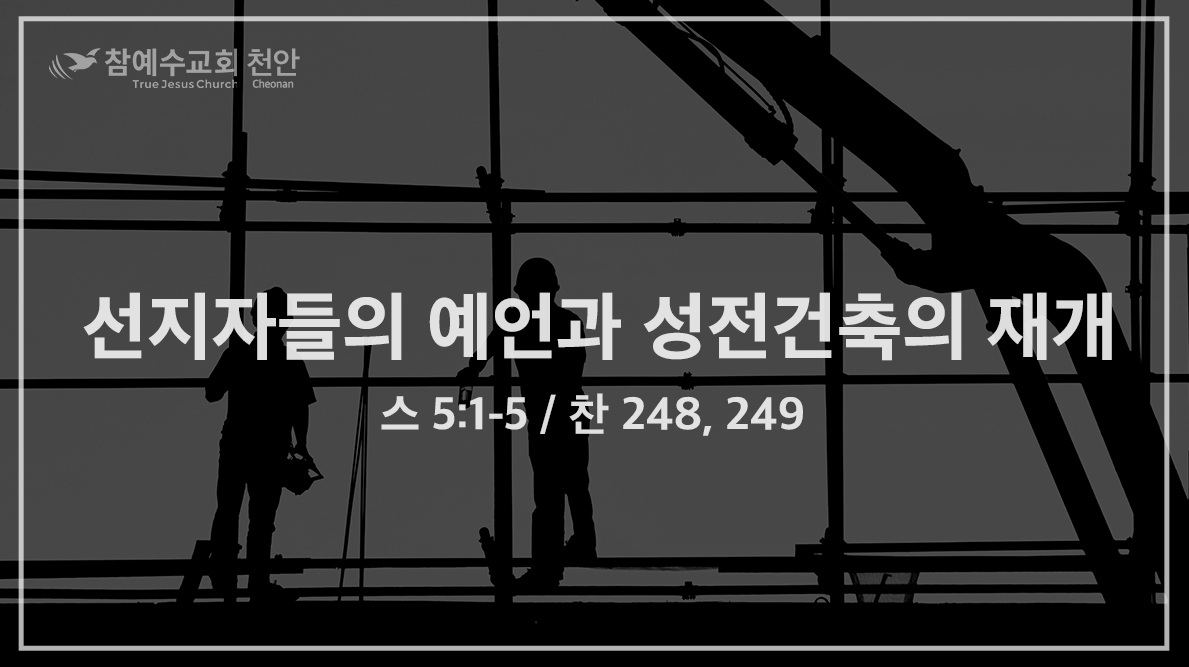 선지자들의 예언과 성전건축의 재개 (스 5:1-5)