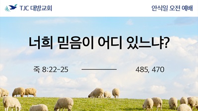 너희 믿음이 어디 있느냐? (눅 8:22-25)