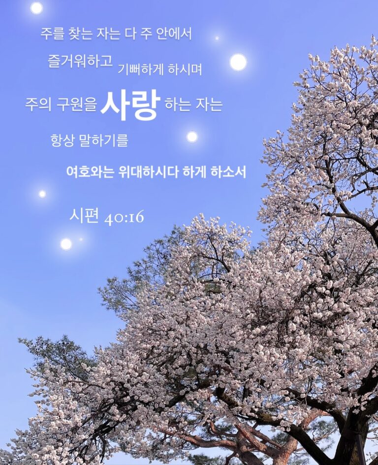 [신앙의 향기] 대학부 최하은자매 작품