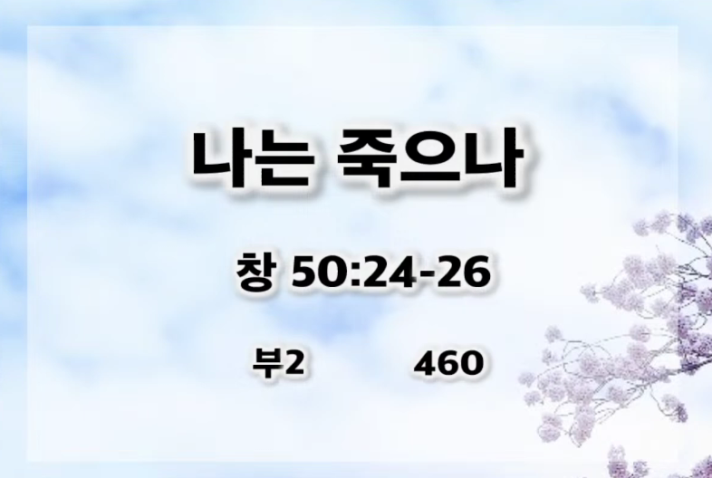 [복음메세지] 나는 죽으나