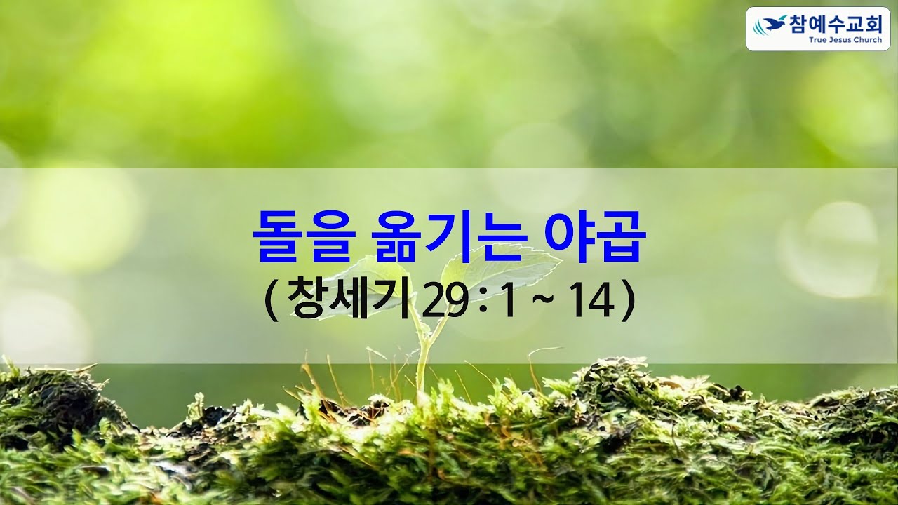 [복음메세지] 돌을 옮기는 야곱 (창 29:1~14)